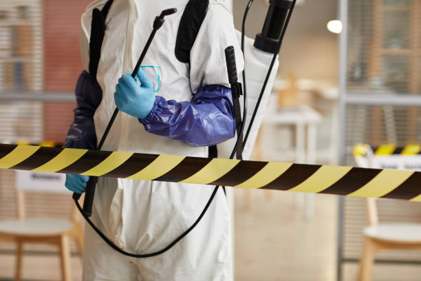 Professional Sewage Cleanup technician working in Greenport, NY